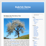 Tema de Wordpress Kubrick