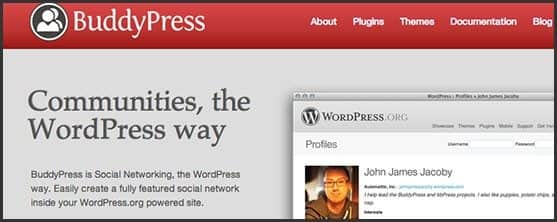Wordpress 10 anos - 10 outros produtos Automattic e Wordpress Foundation: BuddyPress