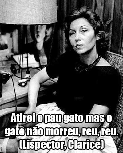 Atirei o pau no gato mas o gato não morreu, reu, reu. (Lispector, Clarice)