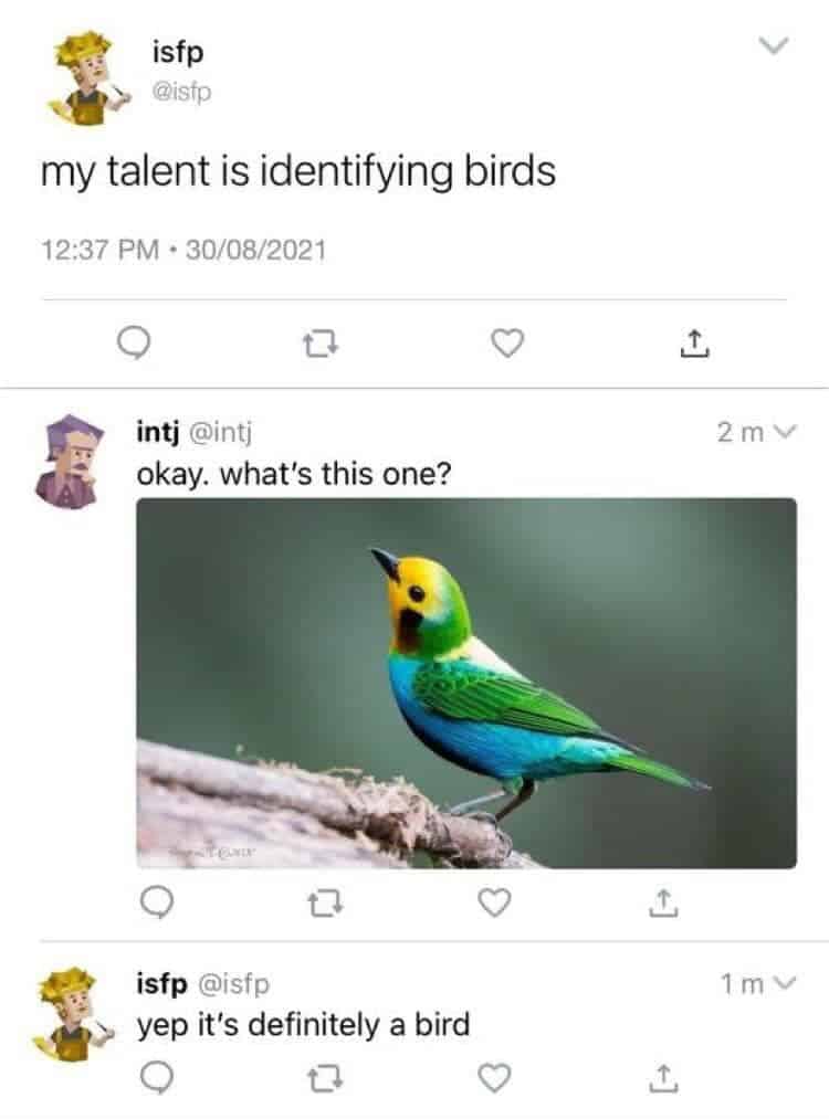 3 tweets by two users, each one with a humorous poligonal, cartoonish avatar. First tweet reads: my talent is identifying birds. Second tweet reads: okay. what's this one? followed by a picture of a birds with feathers of several colors: yellow in the front part of the head, green in the back of the head, wings and tails, blue in most of the belly with some black on the bottom belly, white in the back. third tweet reads: yep it's definitely a bird.