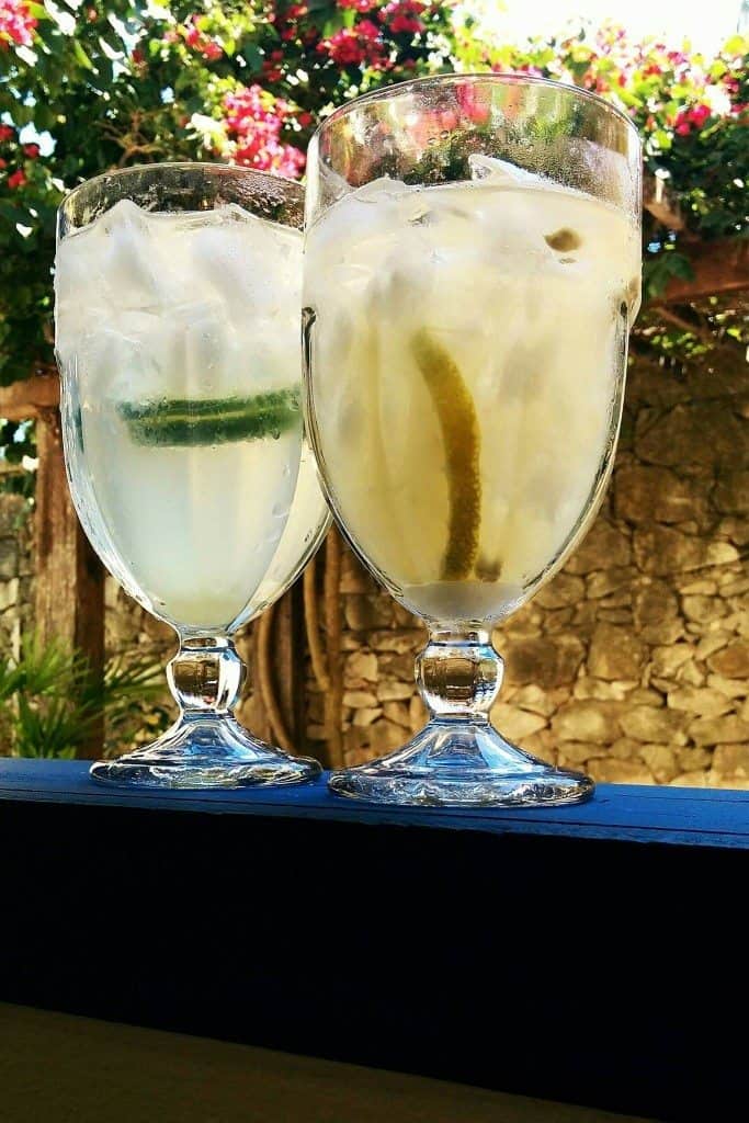 Gin Tônica e Roceira, drinque com Absolut Rio.
