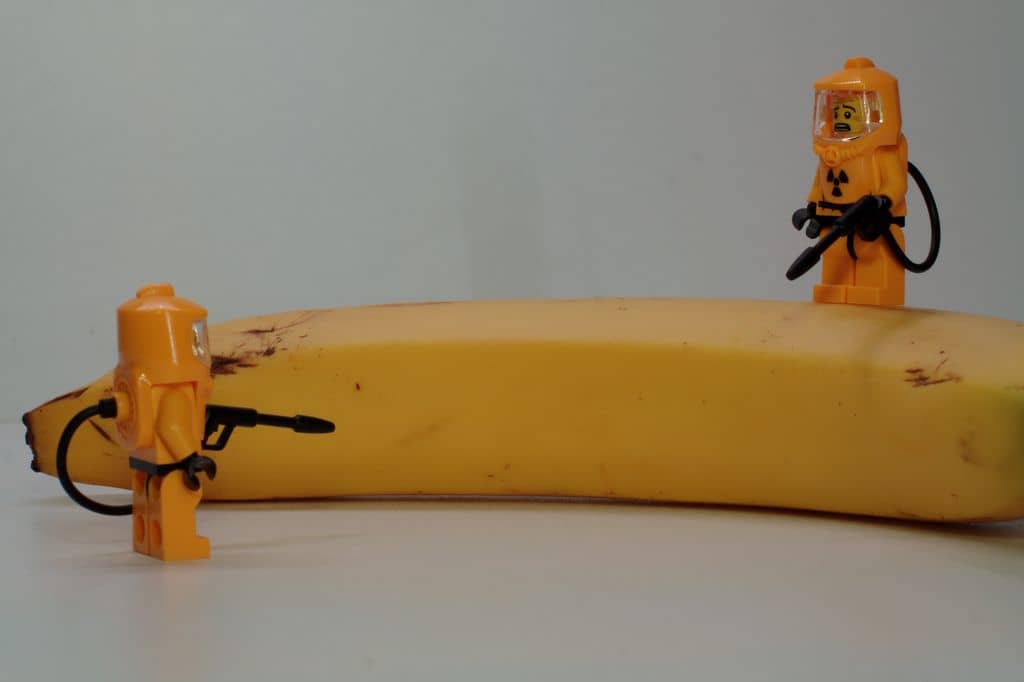 Bananas radioativas? Foto por Martin van der Streeck em https://www.flickr.com/photos/bananas-radioativas-flickrtreenaks/5869671221/