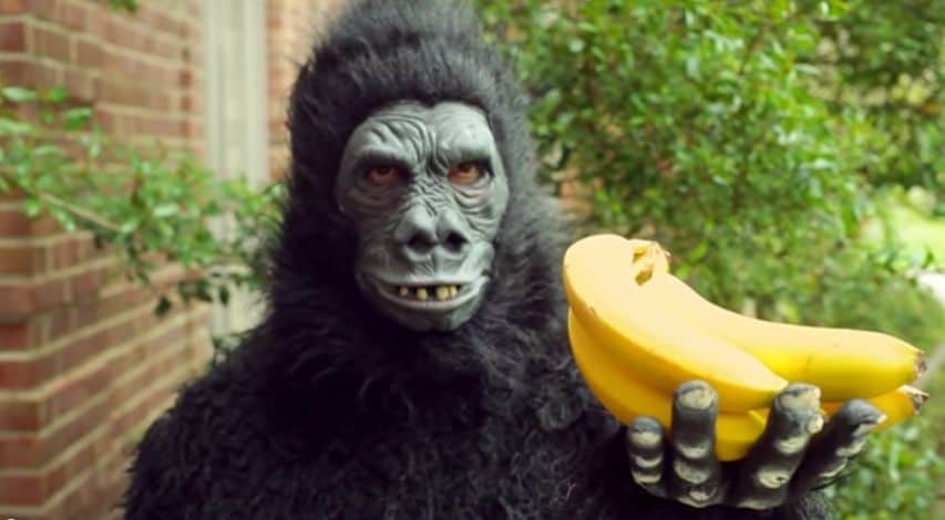 Pessoa fantasiada de gorila segurando banana.